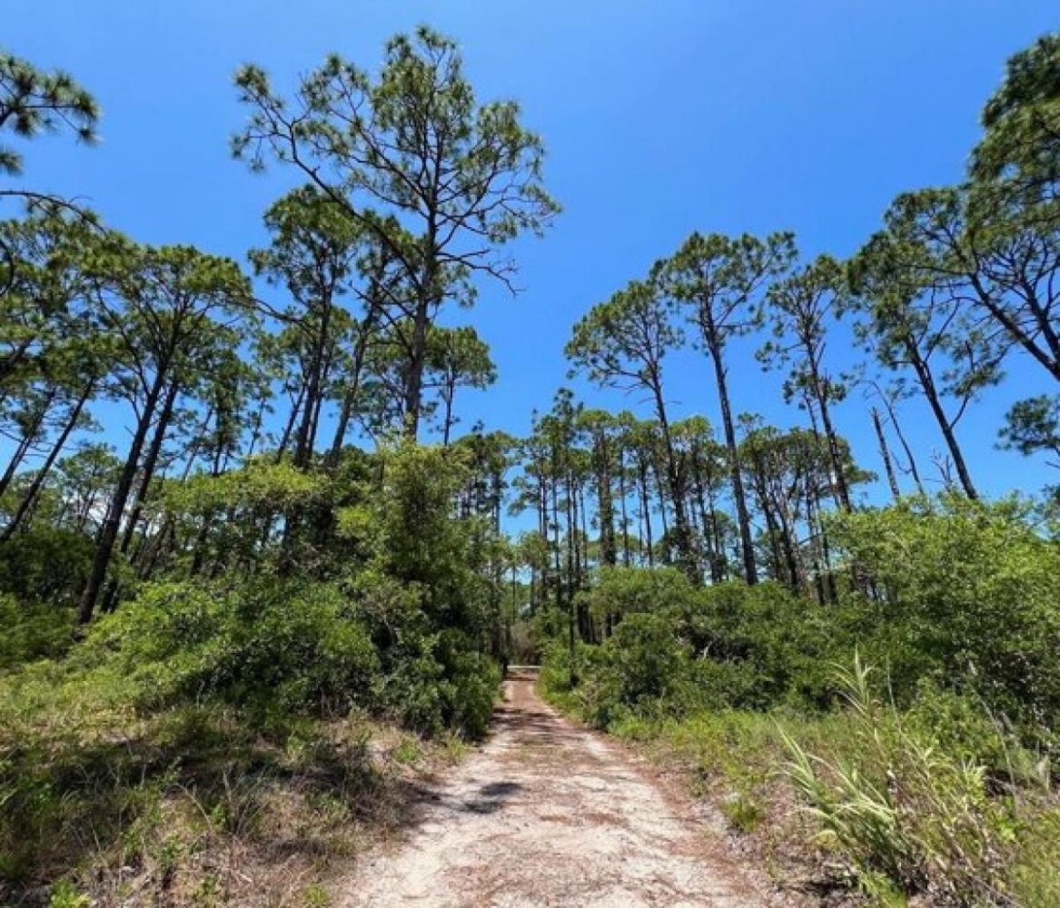  Land in Carrabelle, USA No. 485029