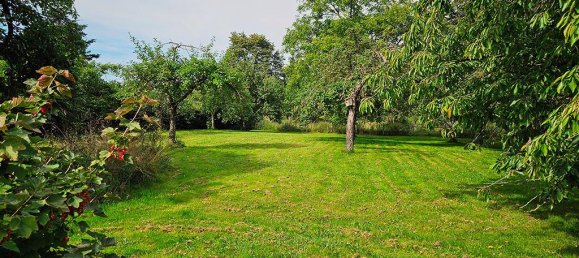 3112m² Commercial property in Heinsberg, Germany No. 136664 11