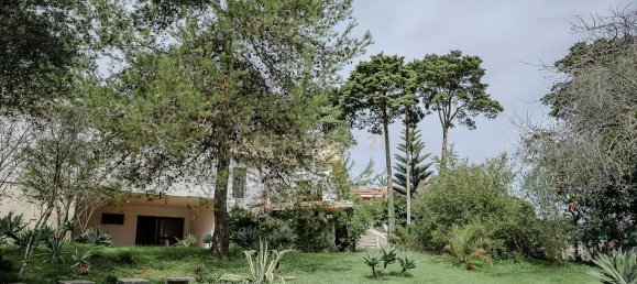 5 bedrooms House in Setubal, Portugal No. 131175 10