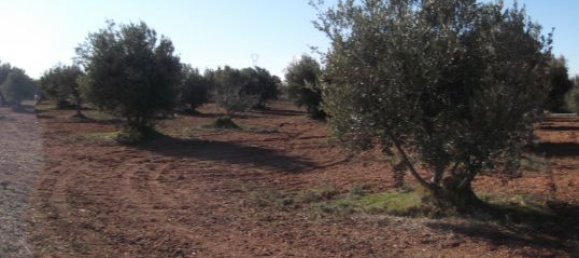 Земельный участок 11705м² в Барбастро, Испания № 140983 16