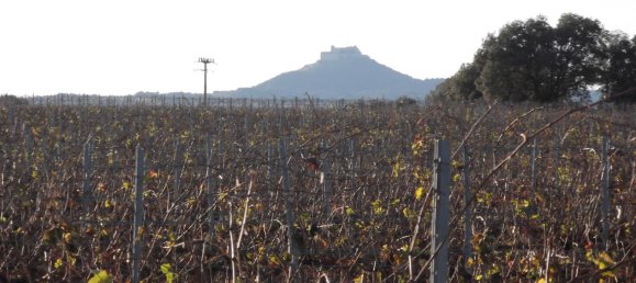 Земельный участок 11705м² в Барбастро, Испания № 140983 20