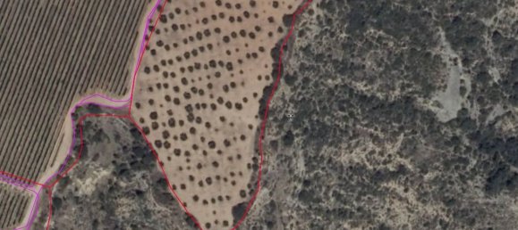 Земельный участок 11705м² в Барбастро, Испания № 140983 2