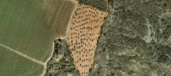 Земельный участок 11705м² в Барбастро, Испания № 140983 13