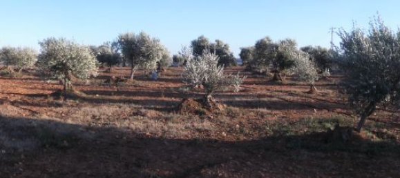 Земельный участок 11705м² в Барбастро, Испания № 140983 21