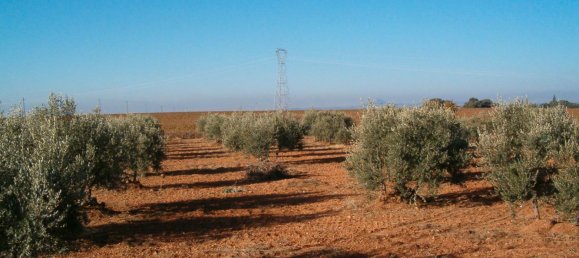 Земельный участок 11705м² в Барбастро, Испания № 140983 6