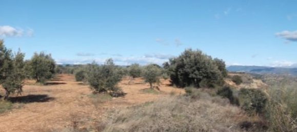 Земельный участок 11705м² в Барбастро, Испания № 140983 17