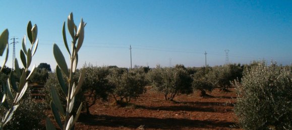 Земельный участок 11705м² в Барбастро, Испания № 140983 5