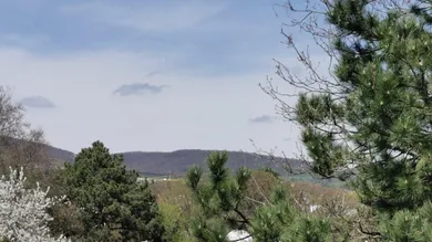 3-salle Appartement à Dobling, Austria No. 155422