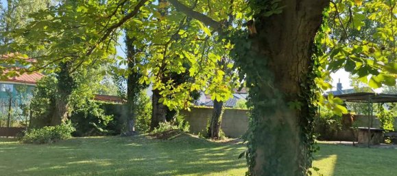 5 rooms House in Podersdorf am See, Austria No. 199424 7