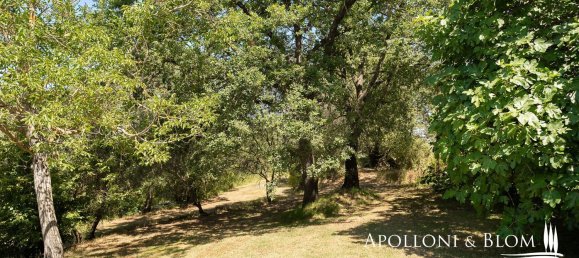 10غرفة منزل في Foiano della Chiana, Italy رقم 53536 40