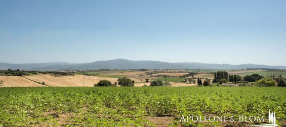 10غرفة منزل في Foiano della Chiana, Italy رقم 53536 44