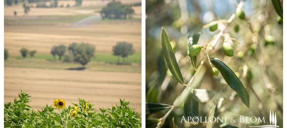 10غرفة منزل في Foiano della Chiana, Italy رقم 53536 39