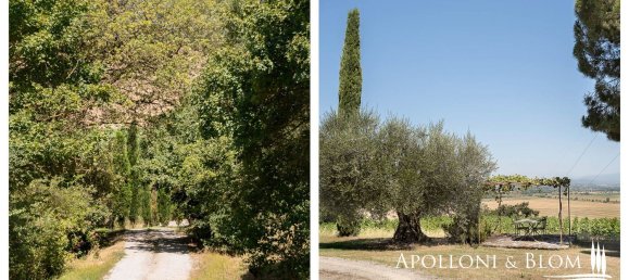 10غرفة منزل في Foiano della Chiana, Italy رقم 53536 34