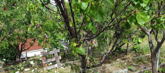 Studio à Colli Verdi, Italy No. 259020 23