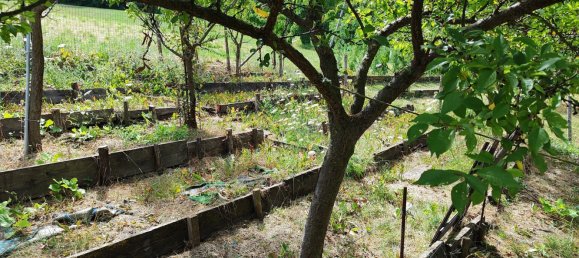 Studio à Colli Verdi, Italy No. 259020 26