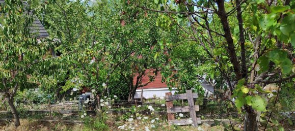 Studio à Colli Verdi, Italy No. 259020 24