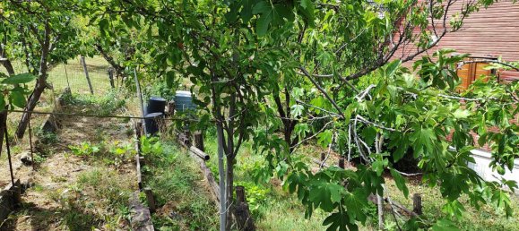 Studio à Colli Verdi, Italy No. 259020 18