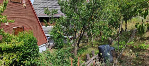 Studio à Colli Verdi, Italy No. 259020 25