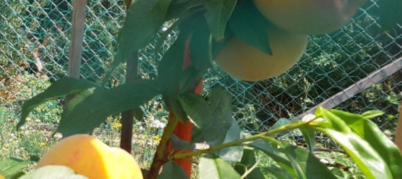 Adosado de 10 habitaciónes en Kassel, Germany No. 339174 18