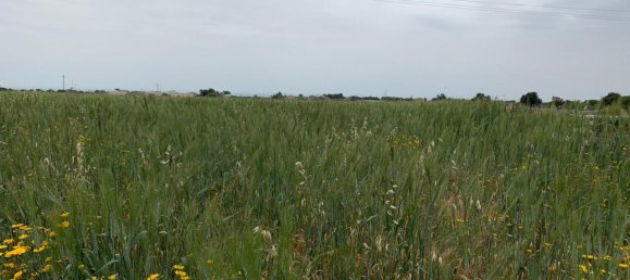 3 rooms House in Modica, Italy No. 234214 8