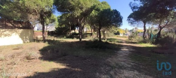 Grundstück in Almancil, Portugal 890m², Nr. 107377 8