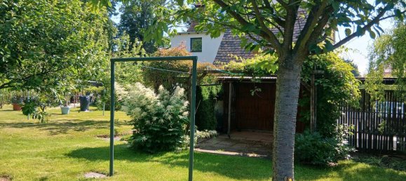 3-Zimmer Wohnung in Görlitz, Germany, Nr. 227585 3