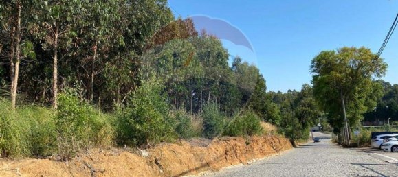 9900m² Land in Vila Nova de Gaia, Portugal No. 42901 5