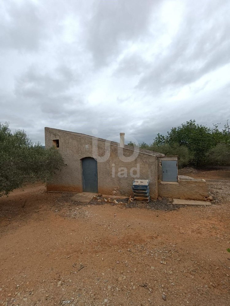 Grundstück in L'Ampolla, Spain 26283m², Nr. 274468