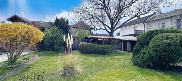 5-Zimmer Haus in Neunkirchen, Austria, Nr. 193636 5