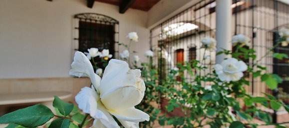 8 غرف نوم منزل في Nijar, Spain رقم 143411 36