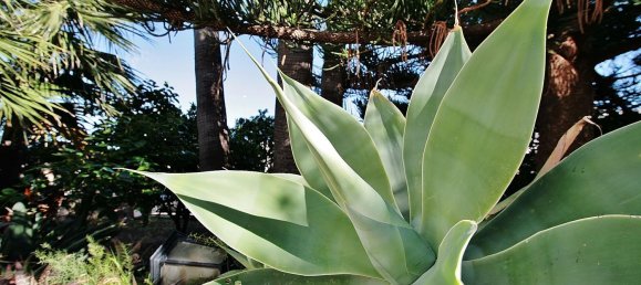 8 غرف نوم منزل في Nijar, Spain رقم 143411 45