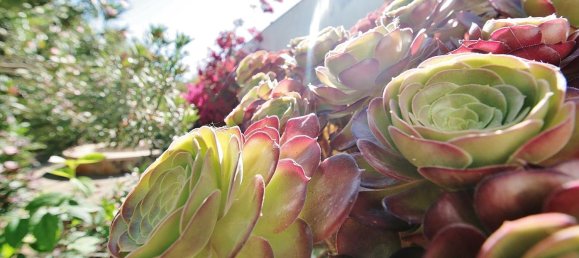 8 غرف نوم منزل في Nijar, Spain رقم 143411 33