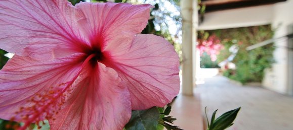 8 غرف نوم منزل في Nijar, Spain رقم 143411 24