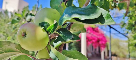 8 غرف نوم منزل في Nijar, Spain رقم 143411 29