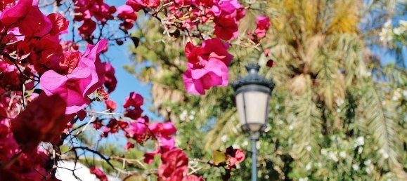 8 غرف نوم منزل في Nijar, Spain رقم 143411 19