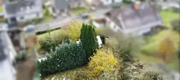  Land in Lippe, Germany No. 168999 3