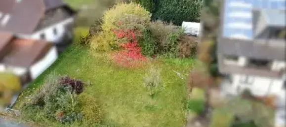  Land in Lippe, Germany No. 168999 2