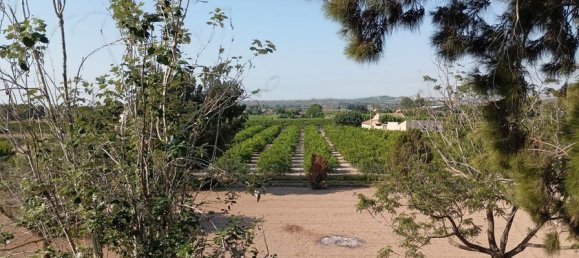 4 bedrooms House in Daya Nueva, Spain No. 132712 38