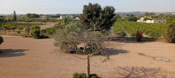 4 bedrooms House in Daya Nueva, Spain No. 132712 41