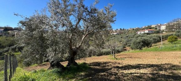 3 Schlafzimmer Haus in Rende, Italy, Nr. 336689 10