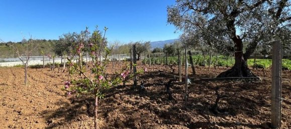 3 Schlafzimmer Haus in Rende, Italy, Nr. 336689 19