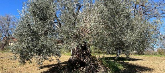 3 Schlafzimmer Haus in Rende, Italy, Nr. 336689 35