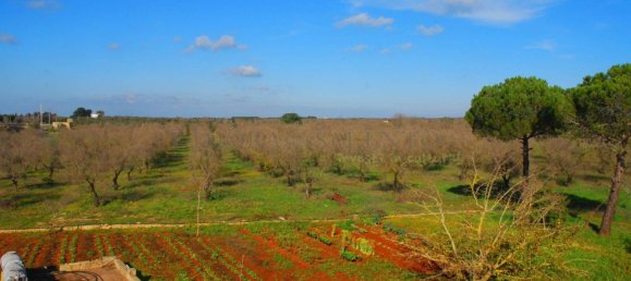Casa de 5 habitaciónes en Presicce Acquarica, Italy No. 160075 31