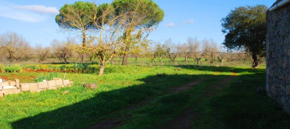 Casa de 5 habitaciónes en Presicce Acquarica, Italy No. 160075 9