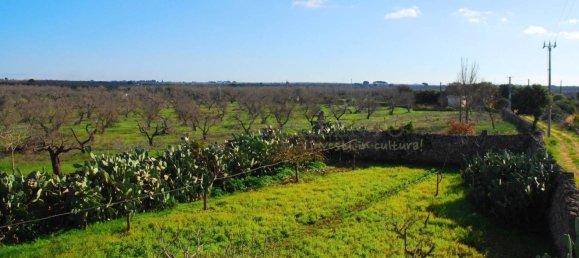 Casa de 5 habitaciónes en Presicce Acquarica, Italy No. 160075 30
