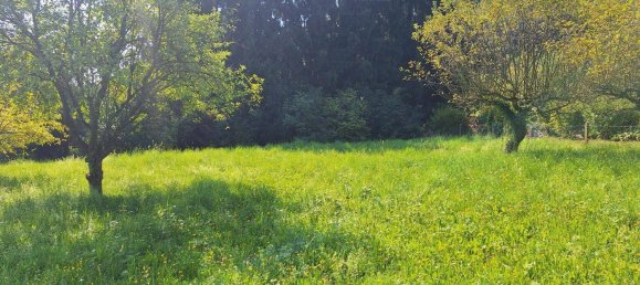 Terrain à Allerheiligen bei Wildon, Austria No. 233019 4