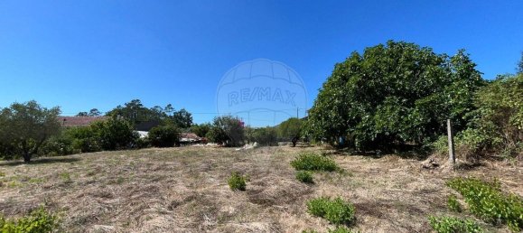 3 Schlafzimmer Haus in Ansiao, Portugal, Nr. 287155 18