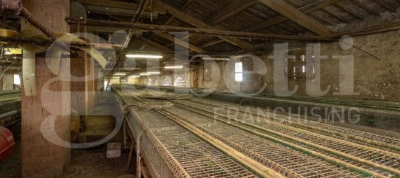 Almacén en Padua, Italy 600 m² No. 280393 8