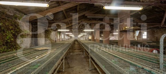 Almacén en Padua, Italy 600 m² No. 280393 6