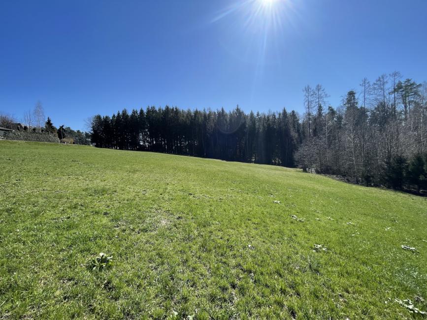  قطعة أرض في Kumberg, Austria 2624متر مربع رقم 195195